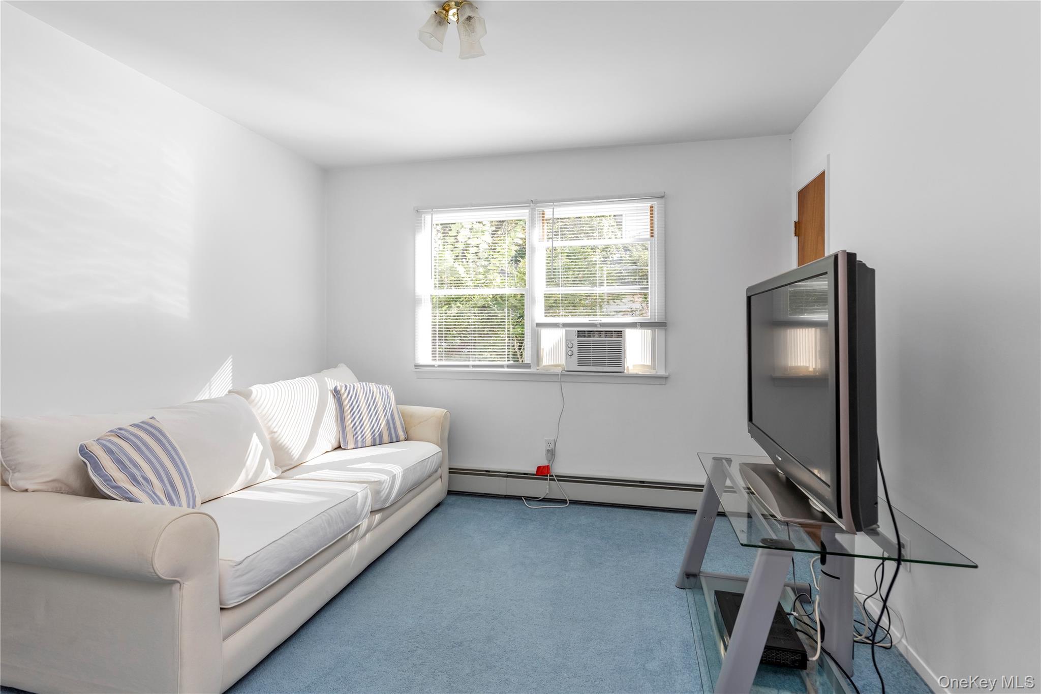 #10 photo, 31 Chester Avenue, Stewart Manor , NY 11530