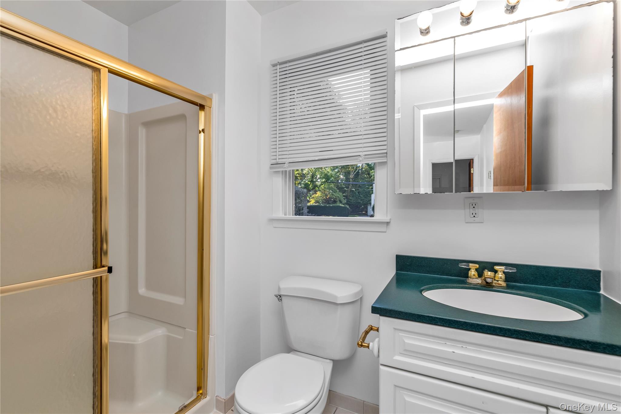 #12 photo, 31 Chester Avenue, Stewart Manor , NY 11530