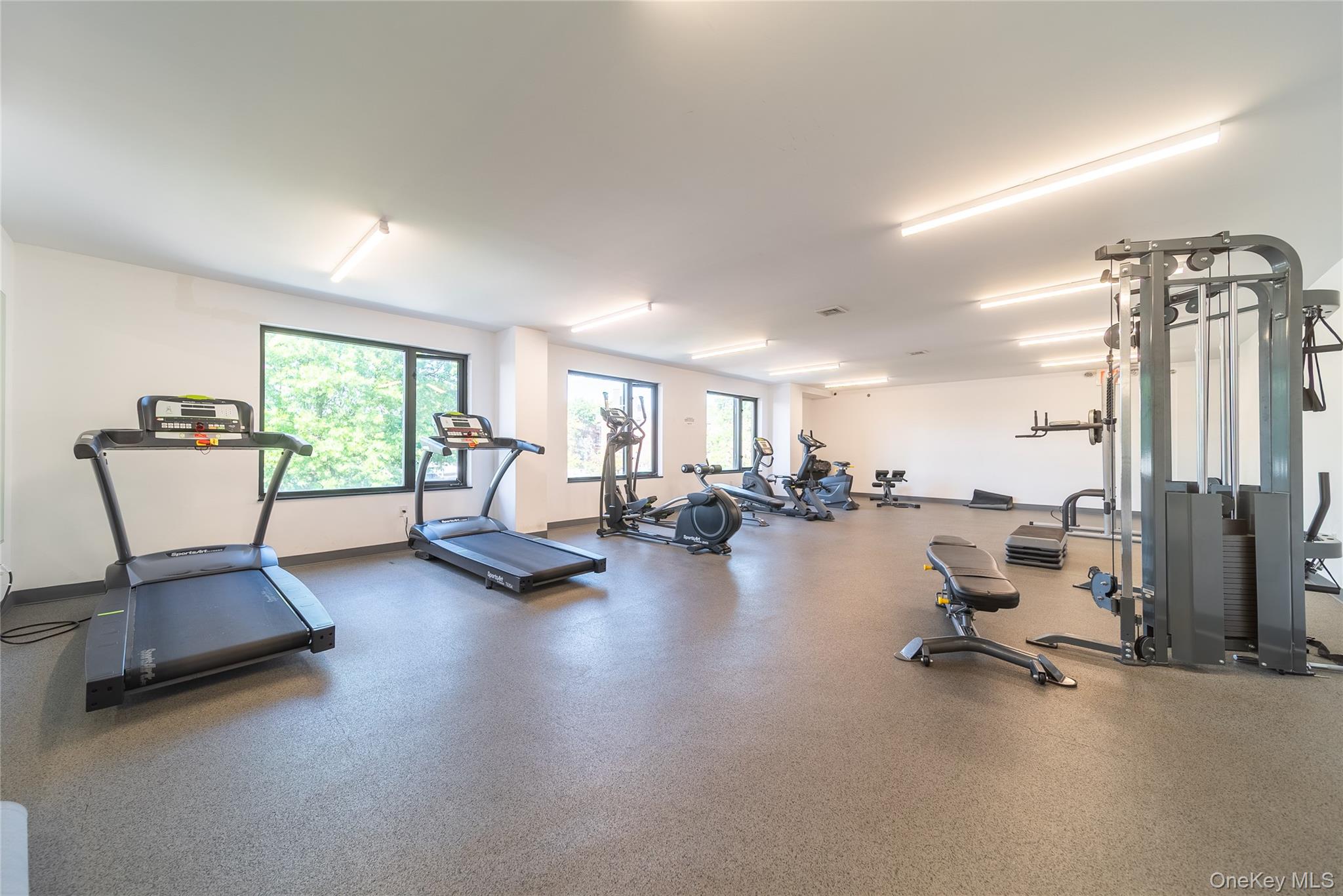 #12 photo, 62-98 Woodhaven Boulevard, Rego Park , NY 11379