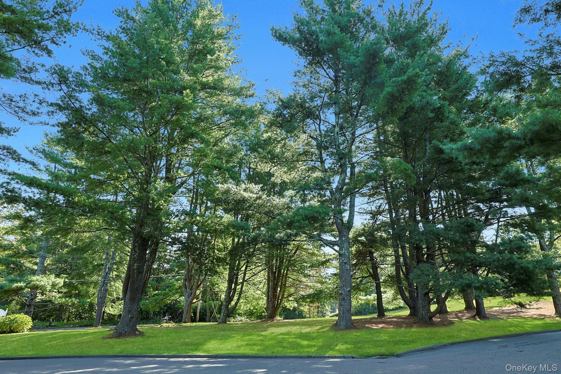 #19 photo, 204 Holly Stream Court, Brewster , NY 10509