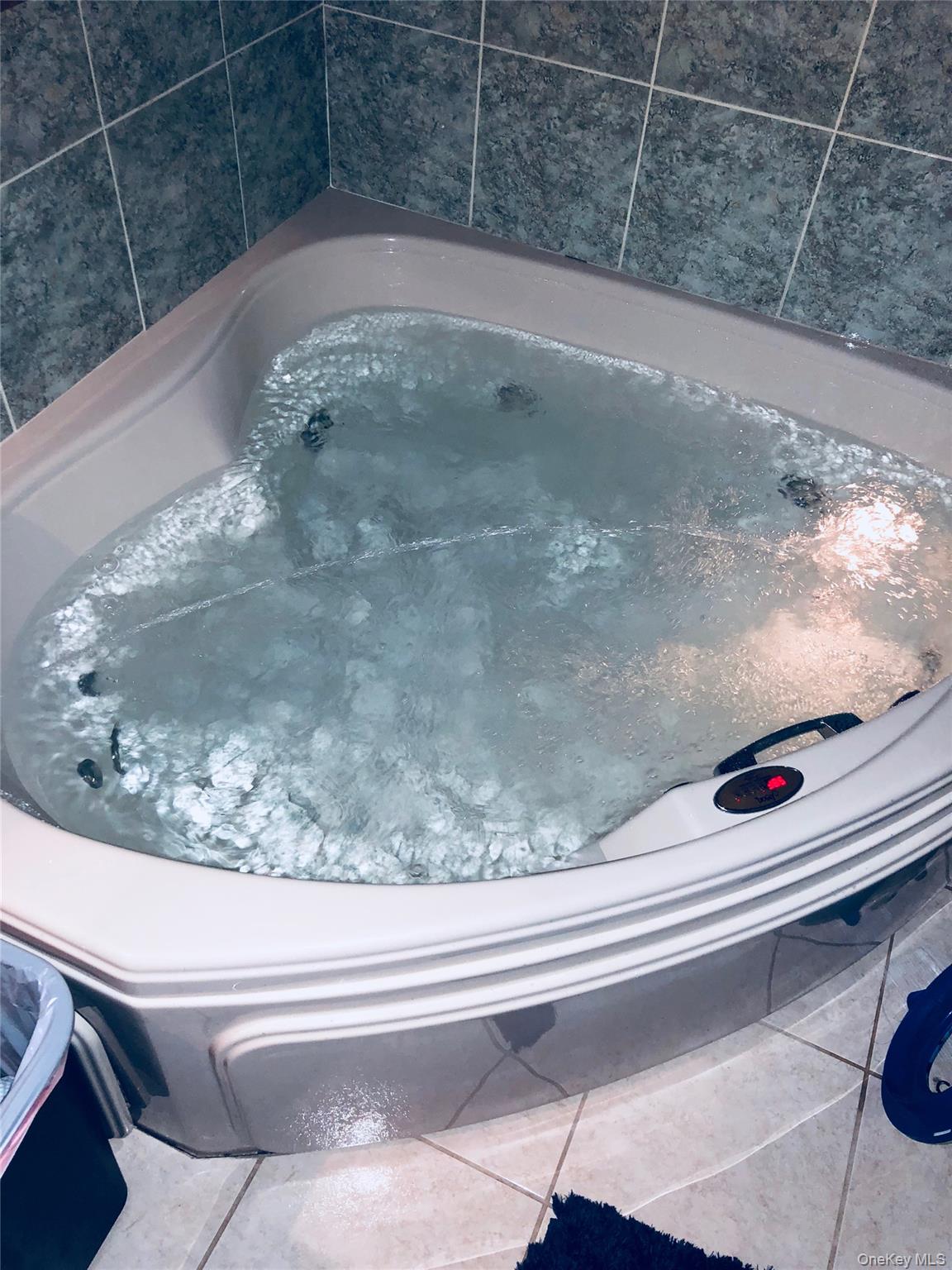 #19 photo, 10 Basswood Place, Melville , NY 11747