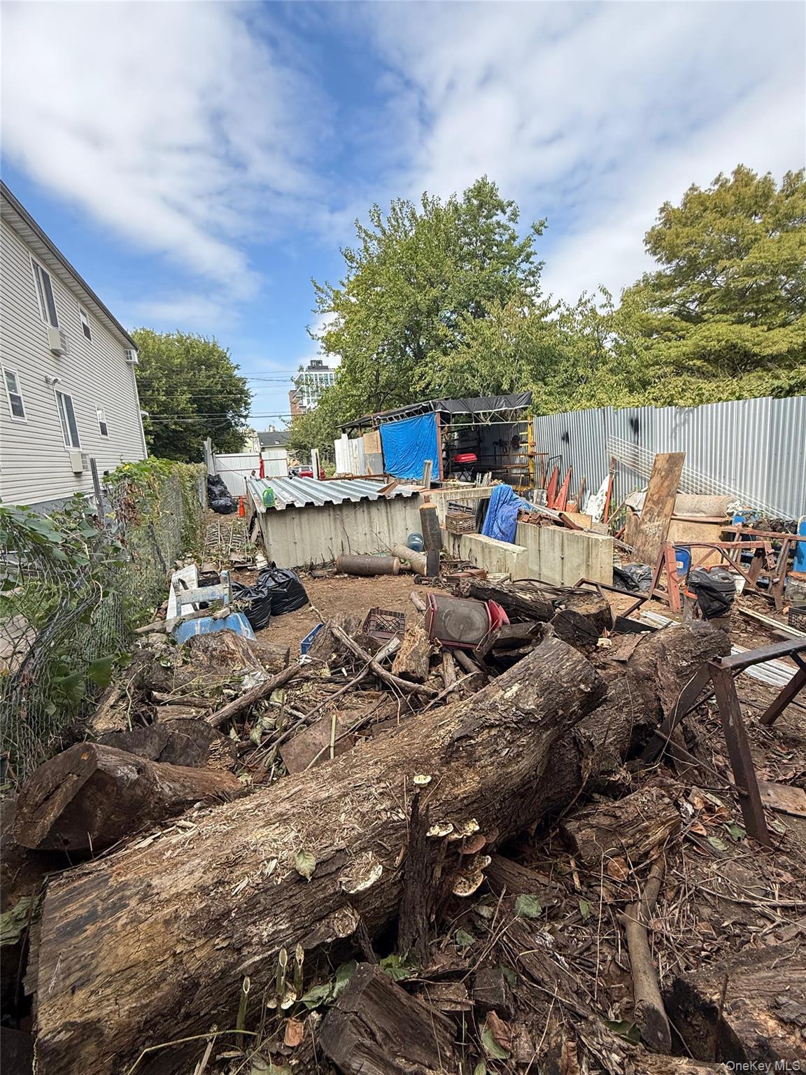 #3 photo, 576 Glenmore Avenue, ブルックリン区 Brooklyn , NY 11207