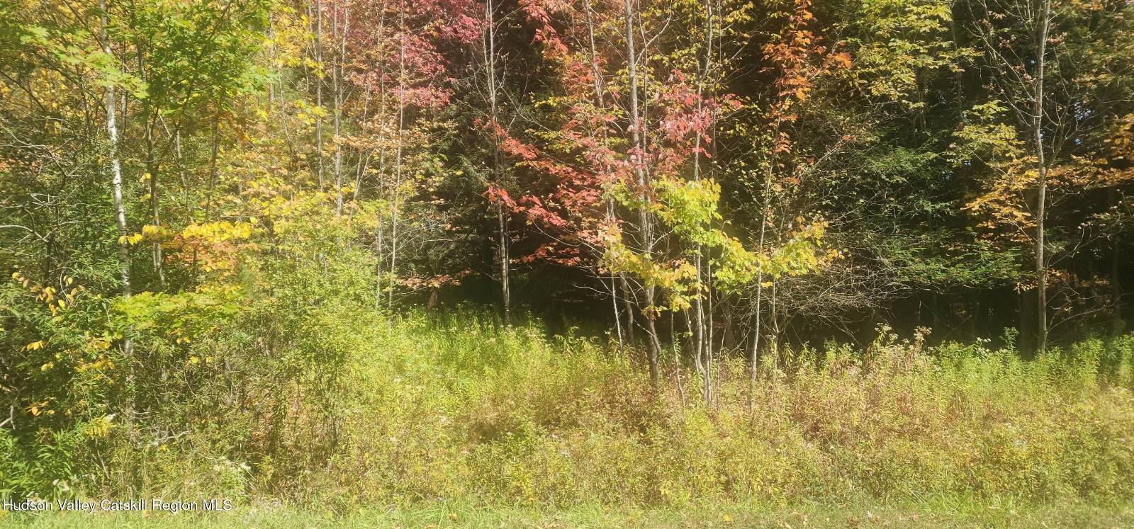 #3 photo, 128 Brittany Hill Rd., Jewett , NY 12444