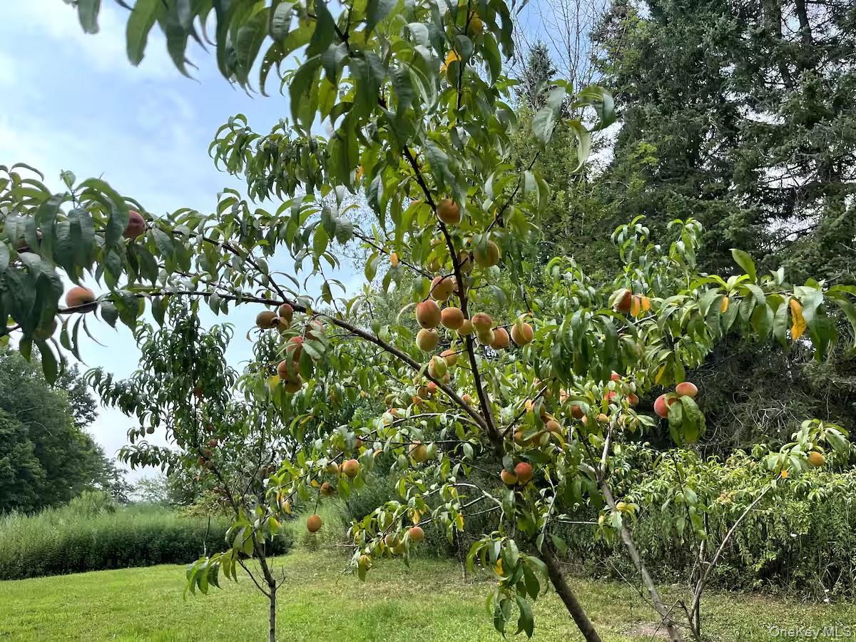 #18 photo, 689 Church Road, Mountain Dale , NY 12763