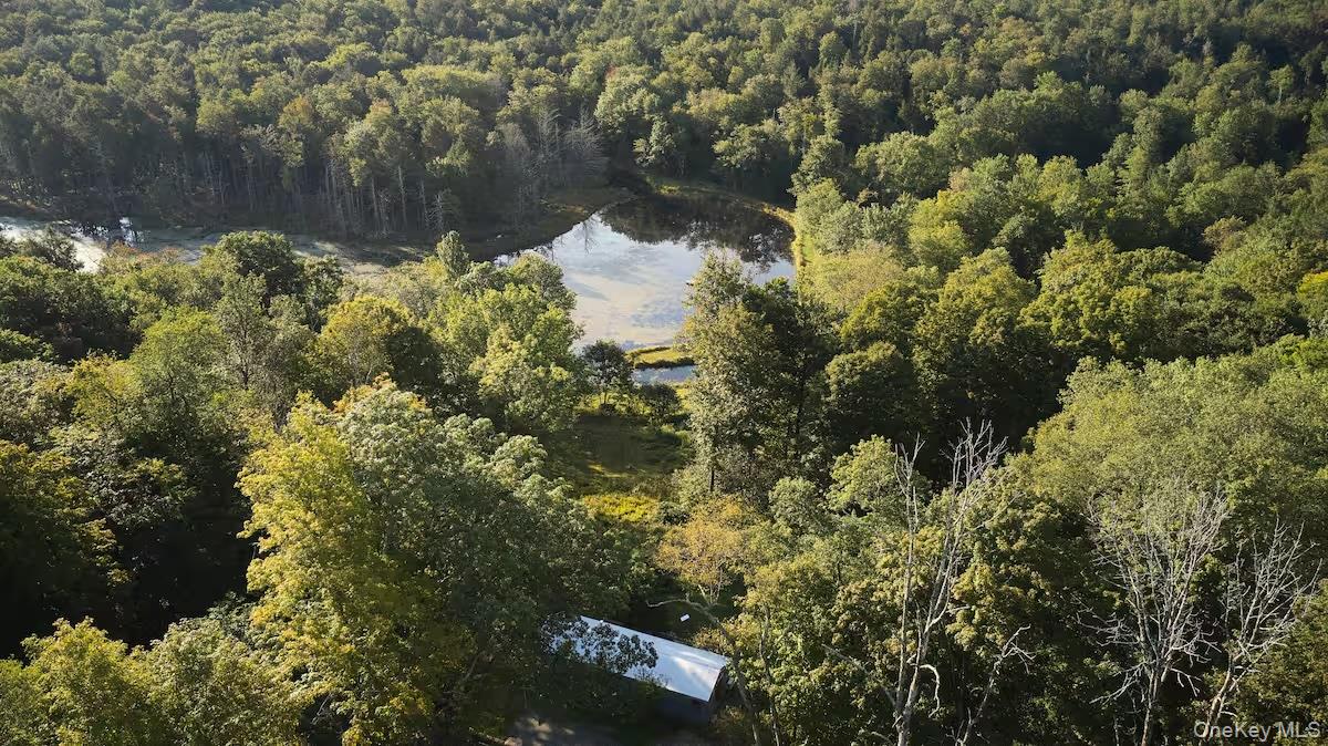 #2 photo, 689 Church Road, Mountain Dale , NY 12763