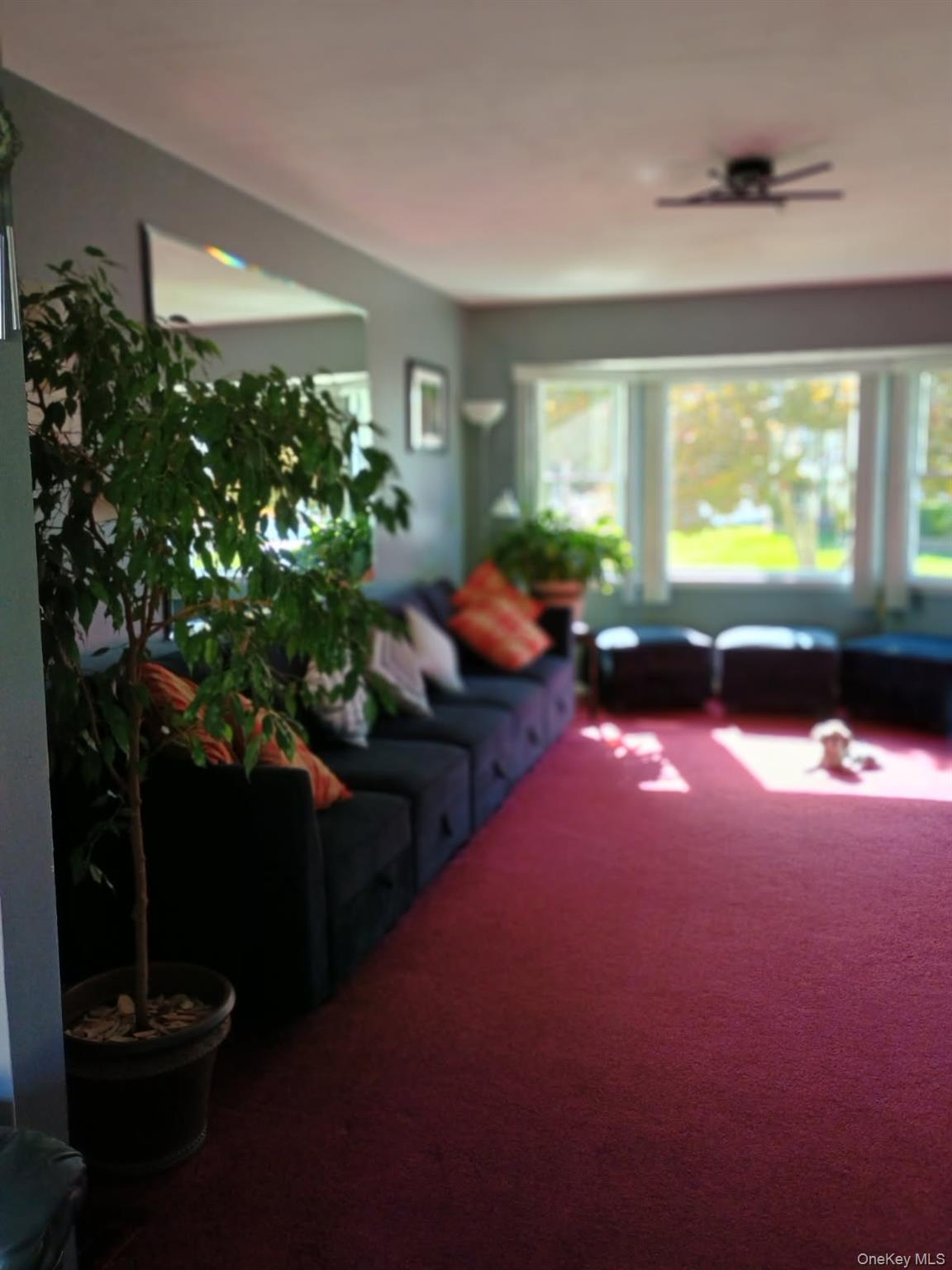 #3 photo, 7 Deville Drive, 롱 아일랜드 Selden , NY 11784