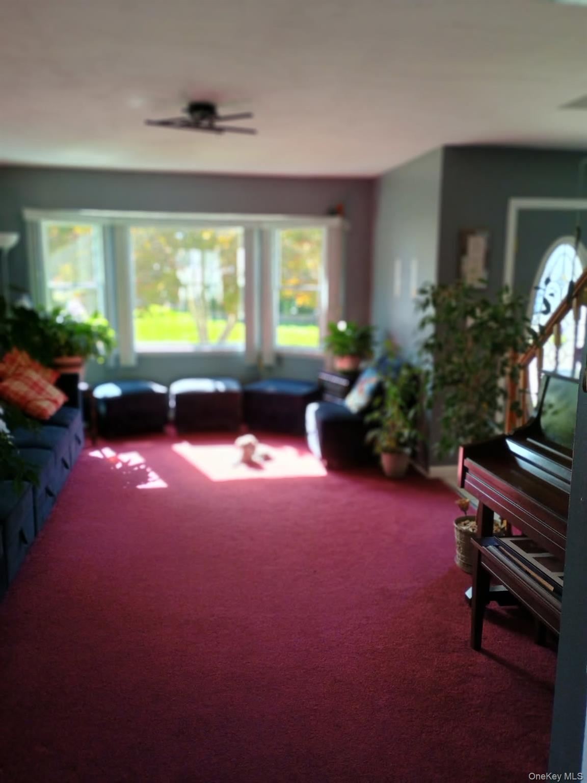 #4 photo, 7 Deville Drive, 롱 아일랜드 Selden , NY 11784