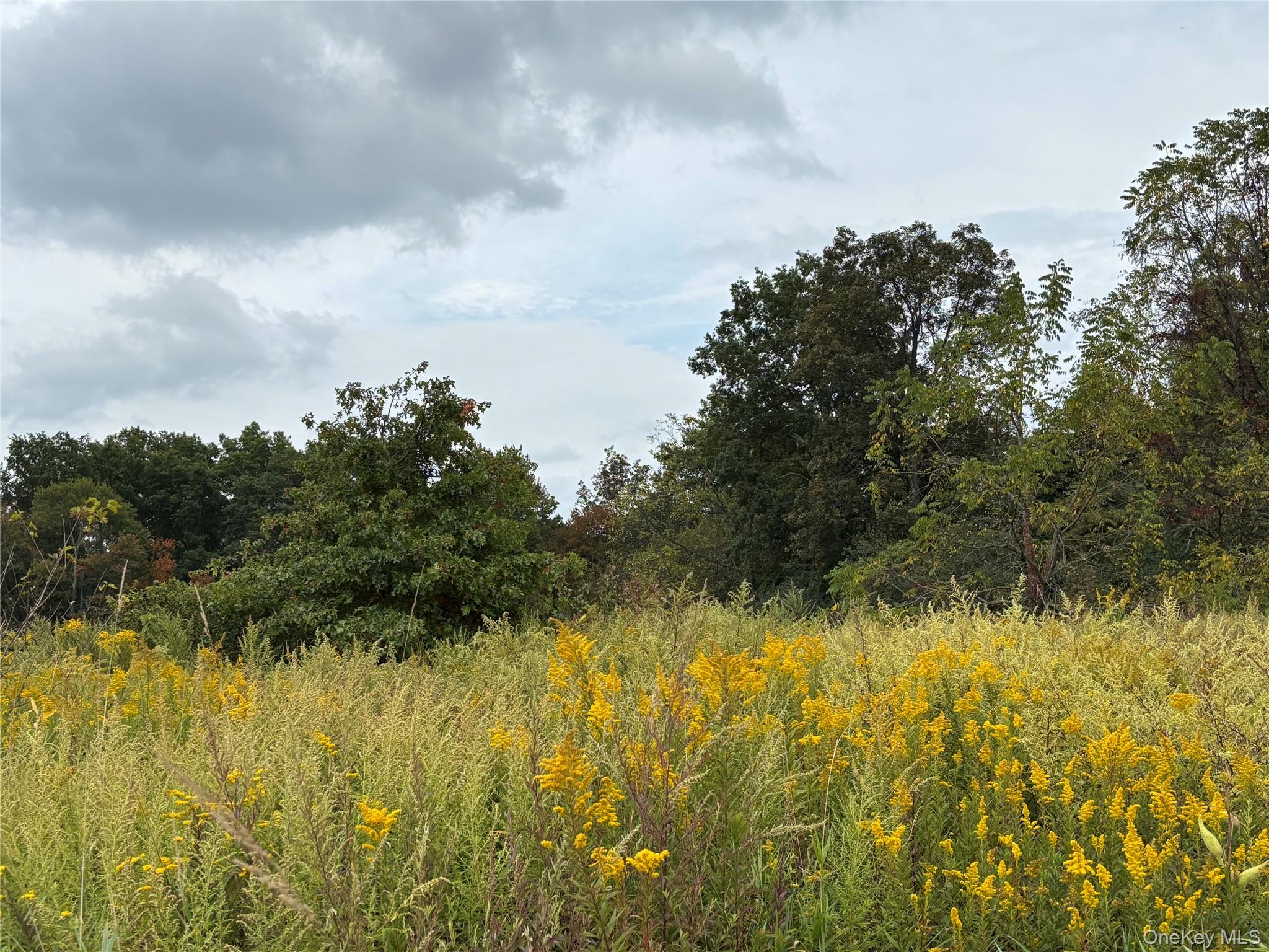 #5 photo, 6 Milo Road, New Hampton , NY 10940