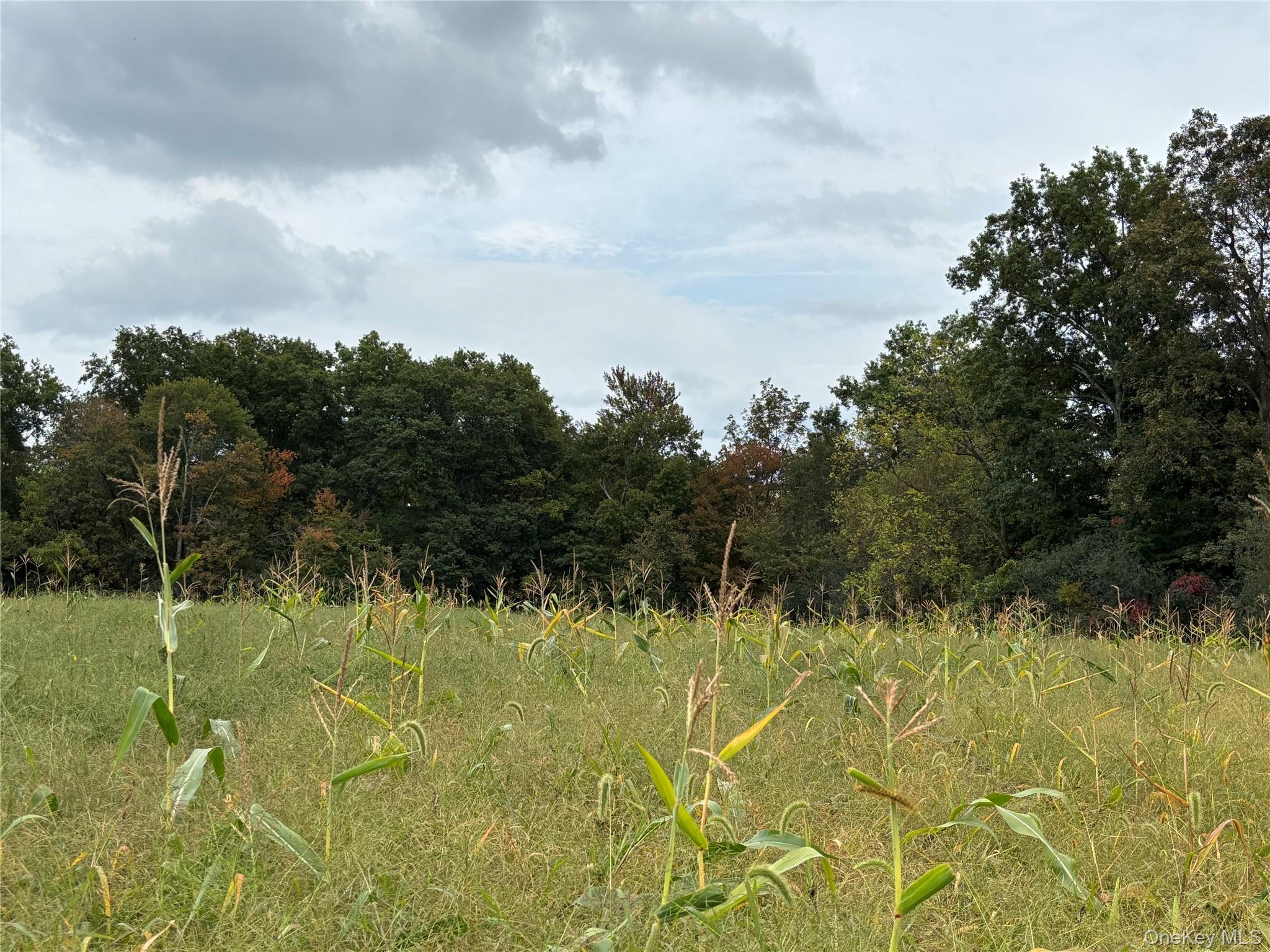 #6 photo, 6 Milo Road, New Hampton , NY 10940