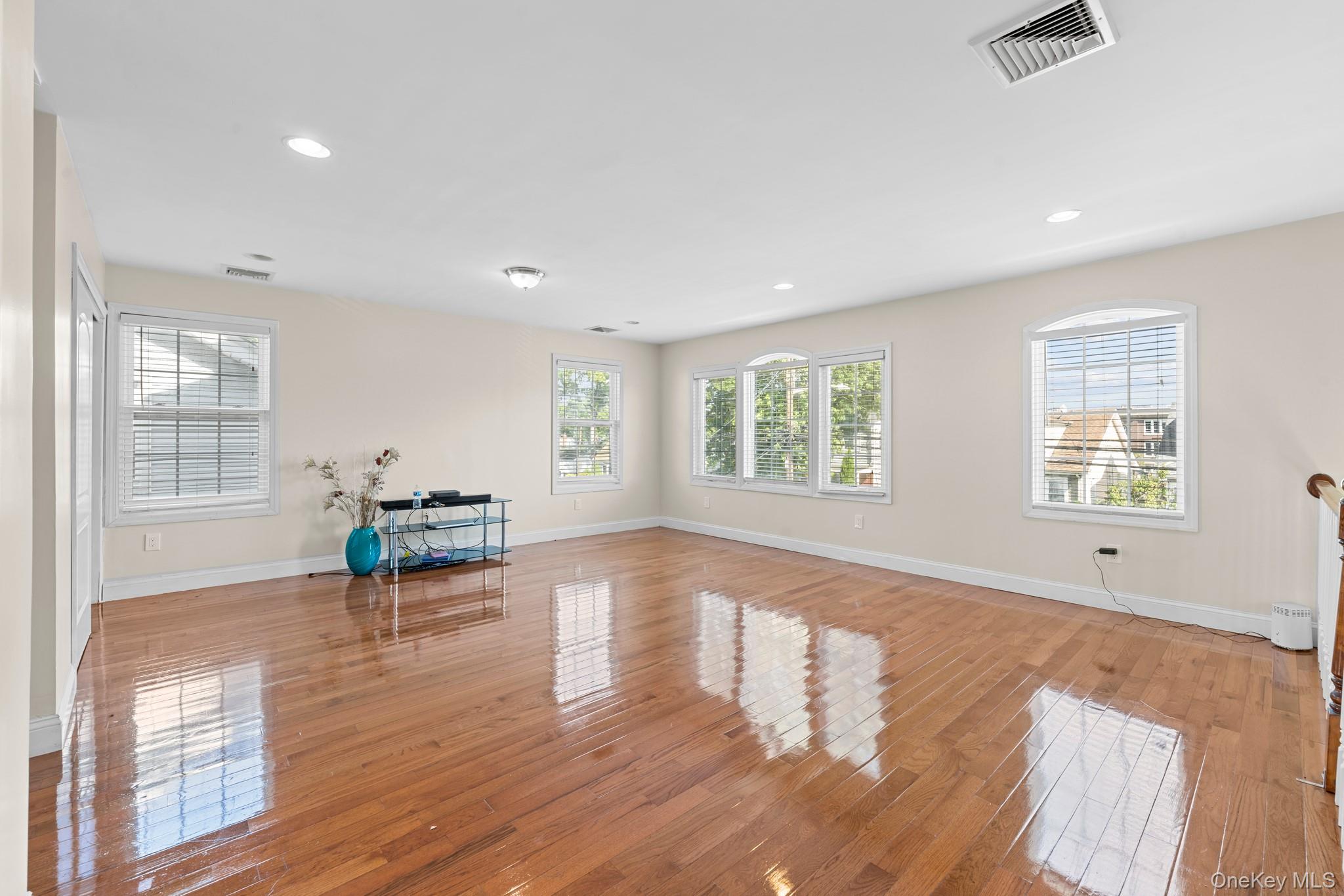 #20 photo, 226 Franklin Street, Elmont , NY 11003