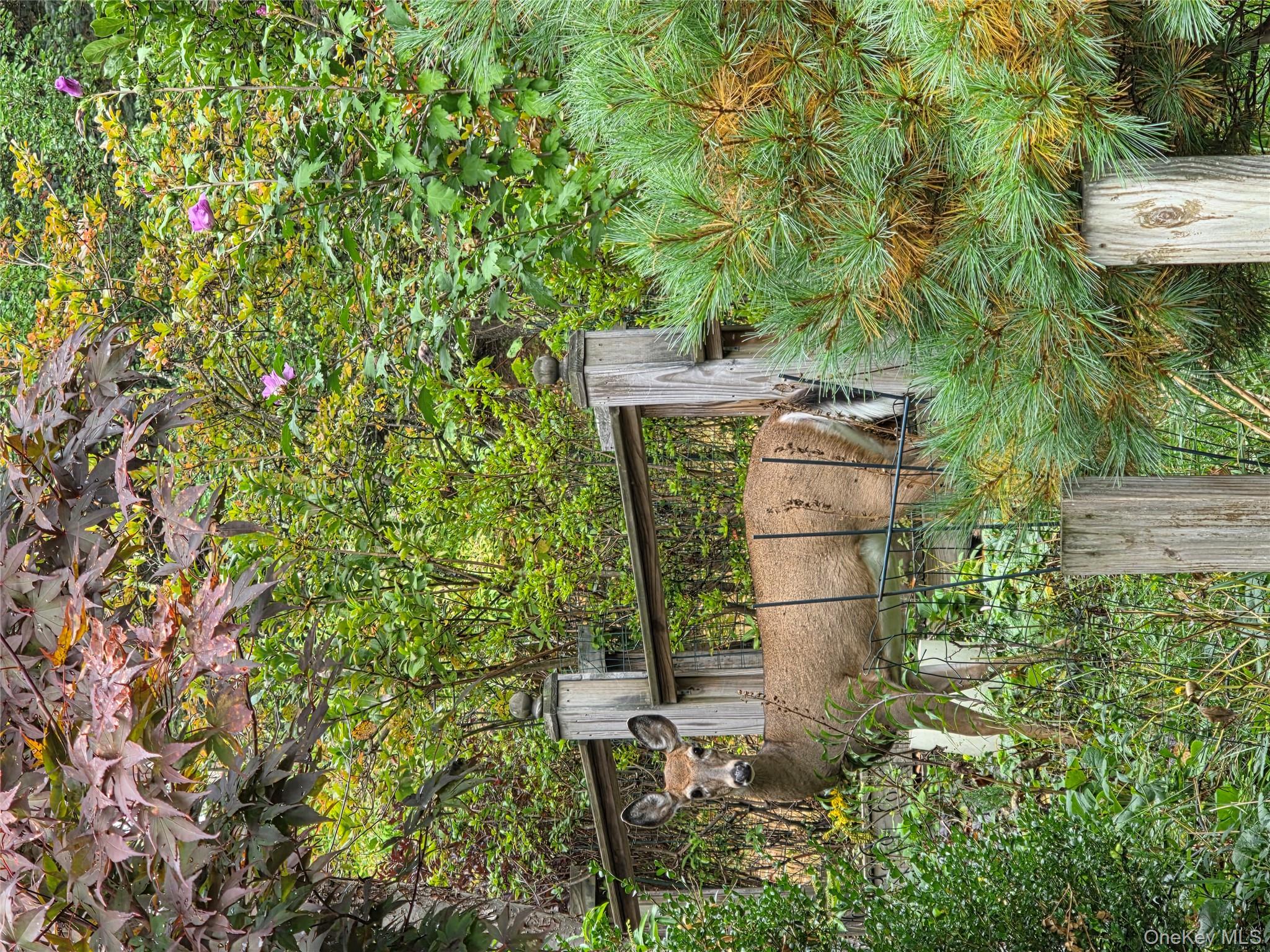 #10 photo, 21 County Road 164, Jeffersonville , NY 12748