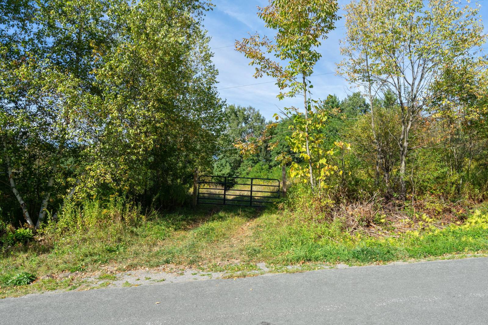 #13 photo, 0 E Hollow Rd, Petersburg , NY 12138