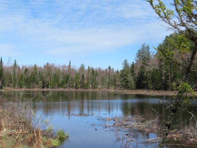 #1 photo, 8083 Moose River Rd, Port Leyden , NY 13433