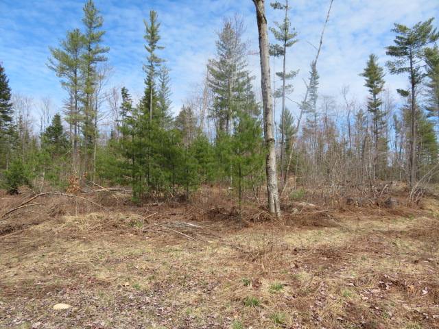 #10 photo, 8083 Moose River Rd, Port Leyden , NY 13433