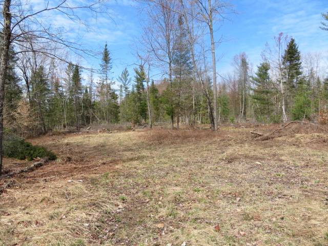 #11 photo, 8083 Moose River Rd, Port Leyden , NY 13433