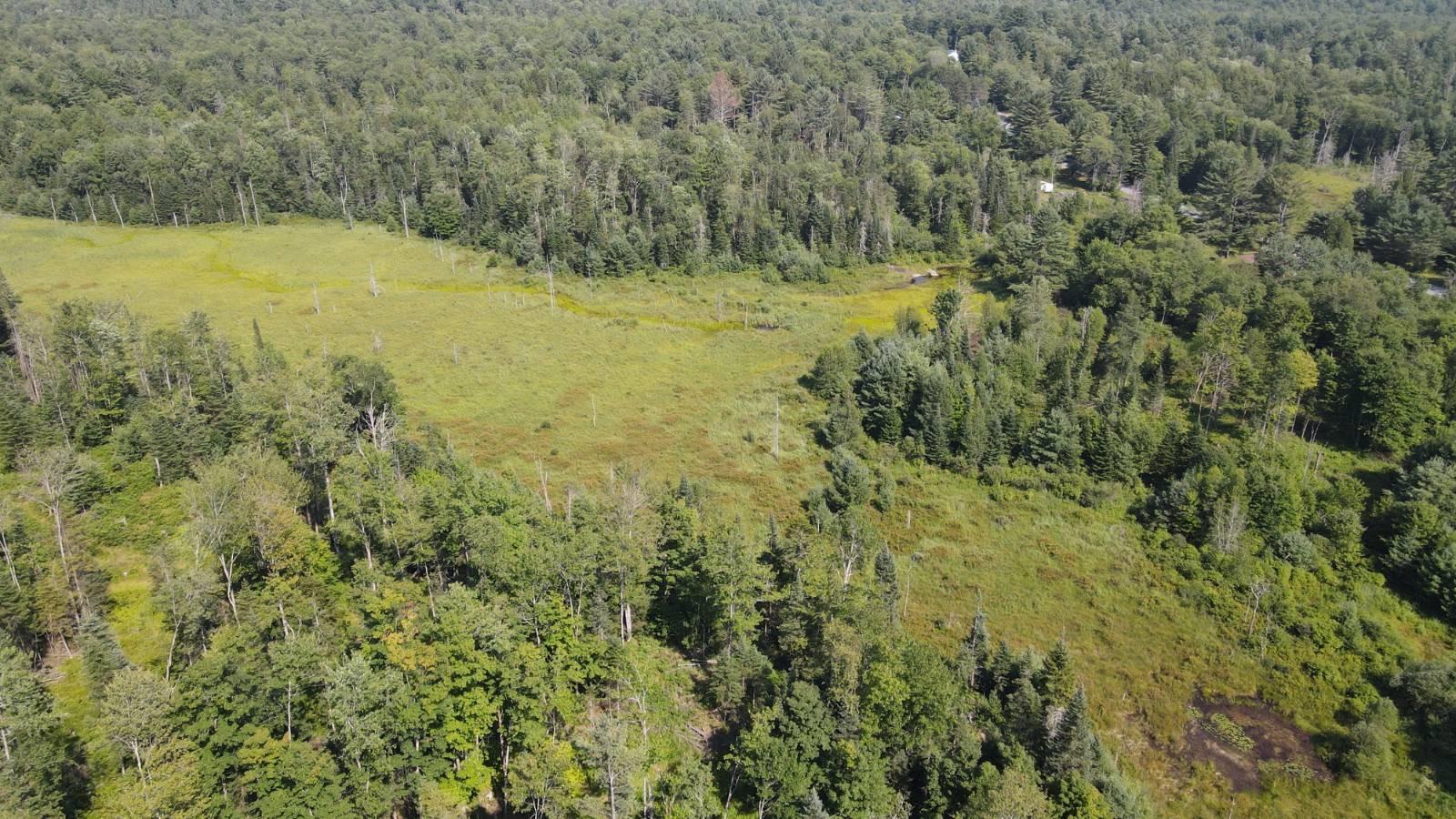 #12 photo, 8083 Moose River Rd, Port Leyden , NY 13433