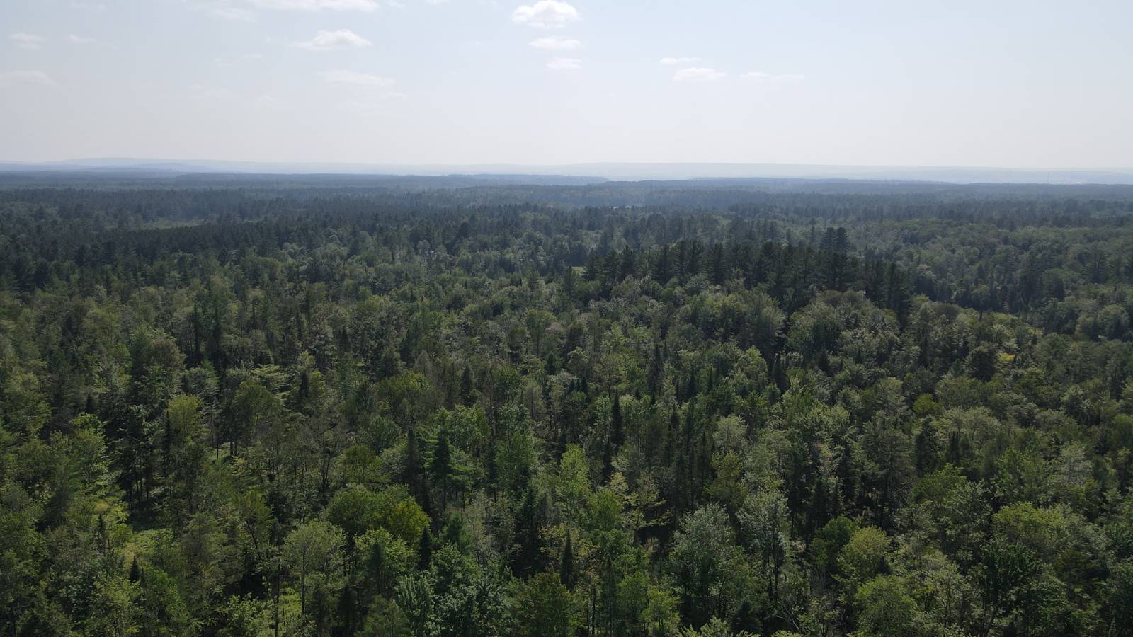 #13 photo, 8083 Moose River Rd, Port Leyden , NY 13433