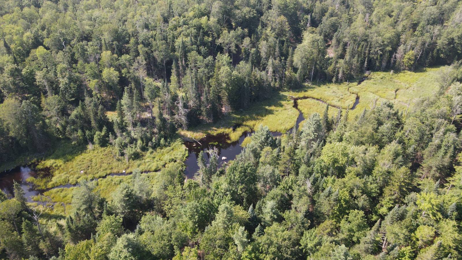 #14 photo, 8083 Moose River Rd, Port Leyden , NY 13433