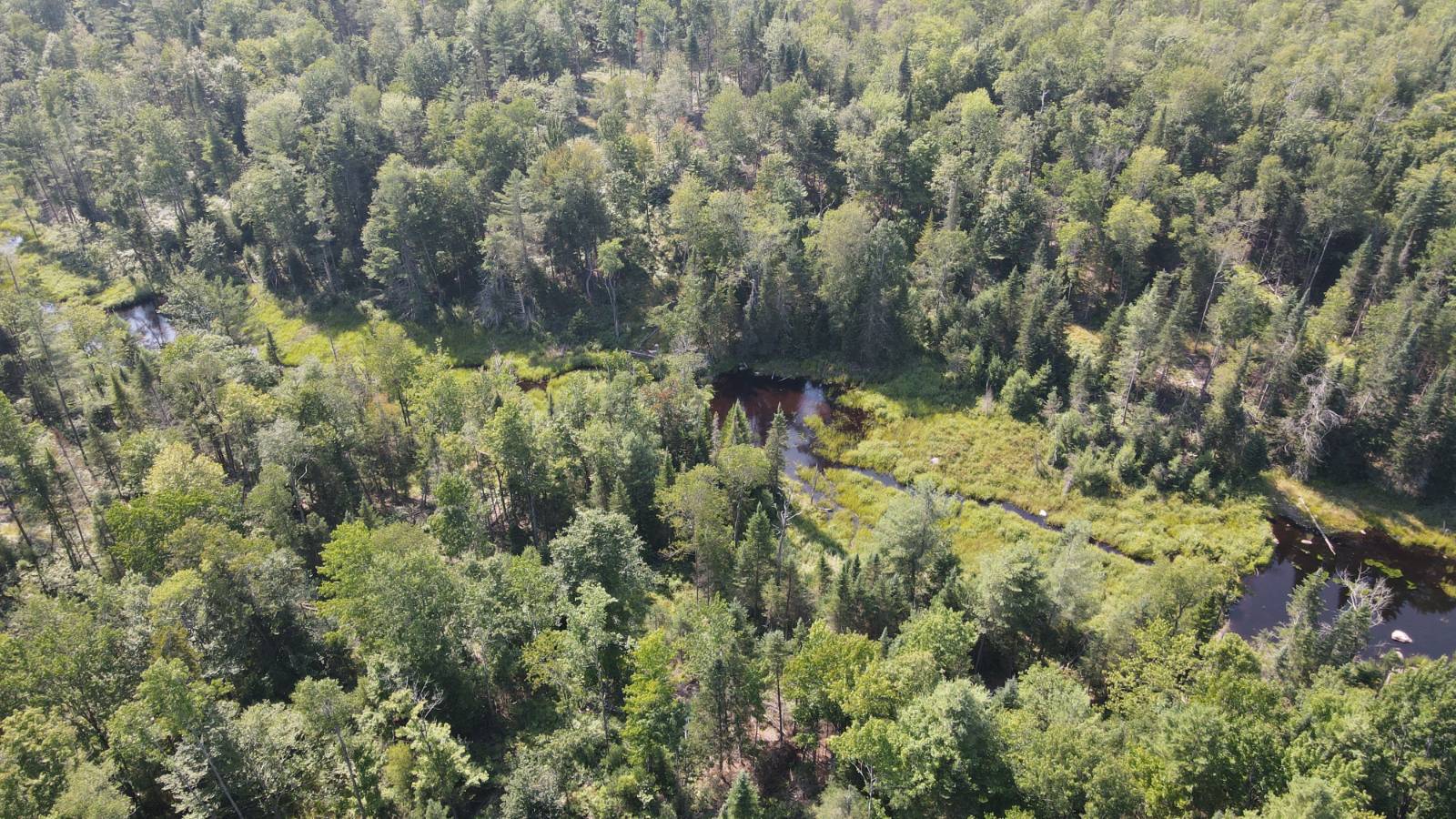 #16 photo, 8083 Moose River Rd, Port Leyden , NY 13433