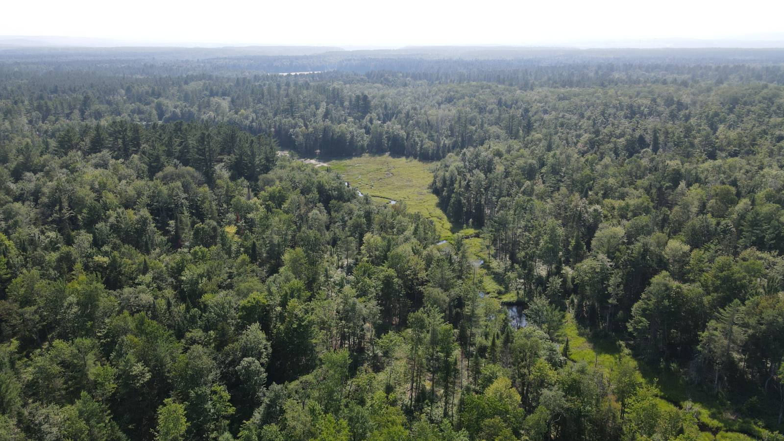 #19 photo, 8083 Moose River Rd, Port Leyden , NY 13433