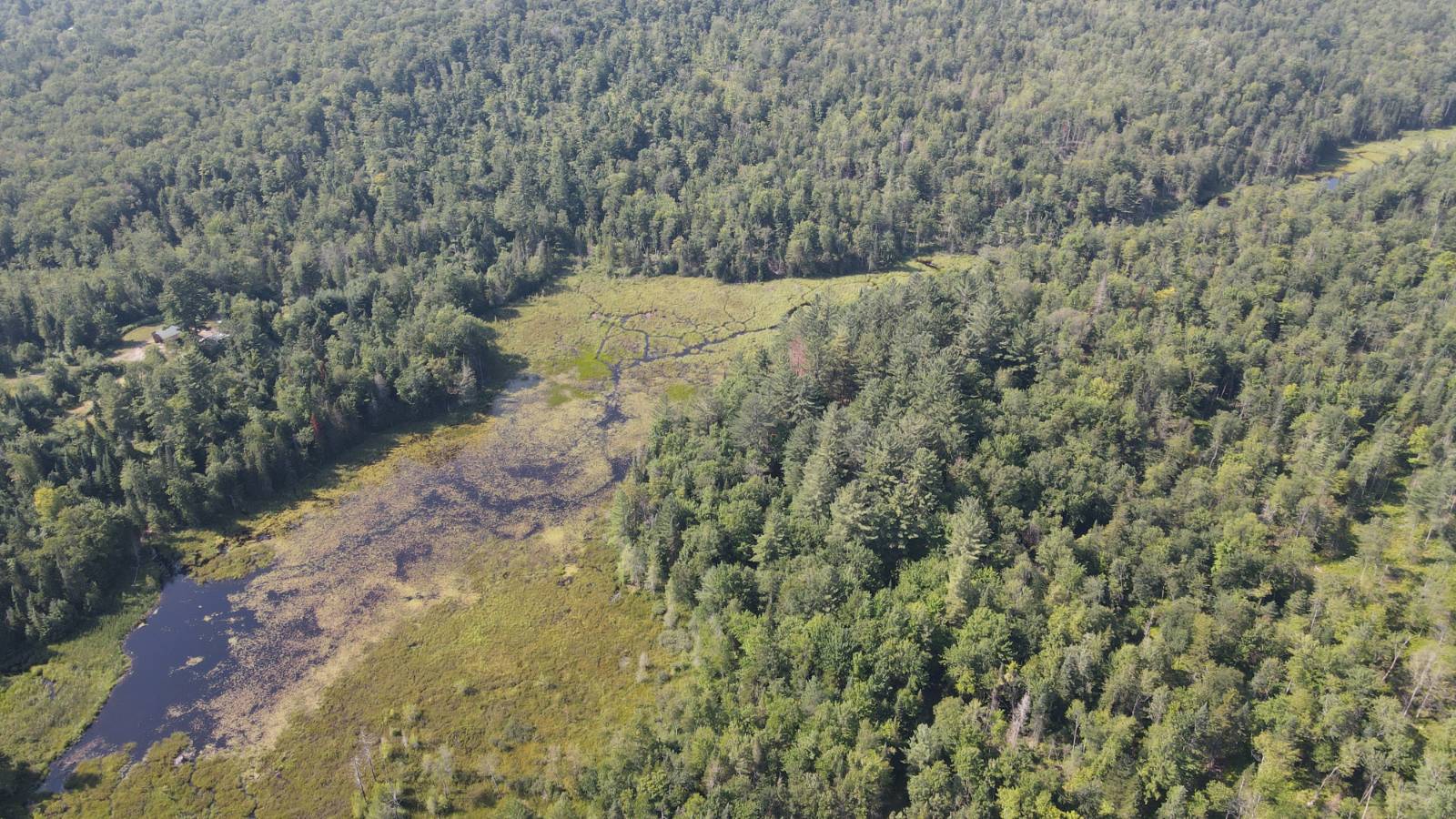 #20 photo, 8083 Moose River Rd, Port Leyden , NY 13433