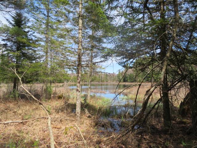 #21 photo, 8083 Moose River Rd, Port Leyden , NY 13433