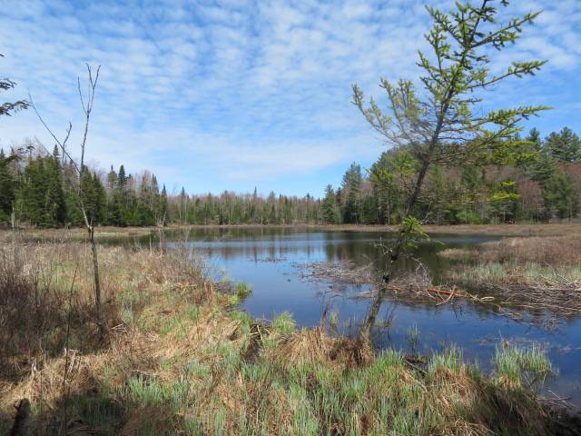 #22 photo, 8083 Moose River Rd, Port Leyden , NY 13433