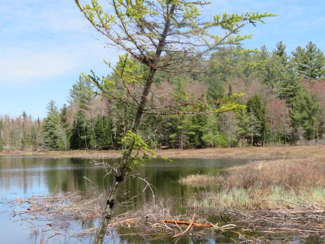 #24 photo, 8083 Moose River Rd, Port Leyden , NY 13433