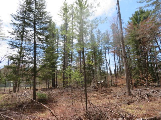 #27 photo, 8083 Moose River Rd, Port Leyden , NY 13433