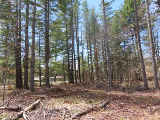 #28 photo, 8083 Moose River Rd, Port Leyden , NY 13433