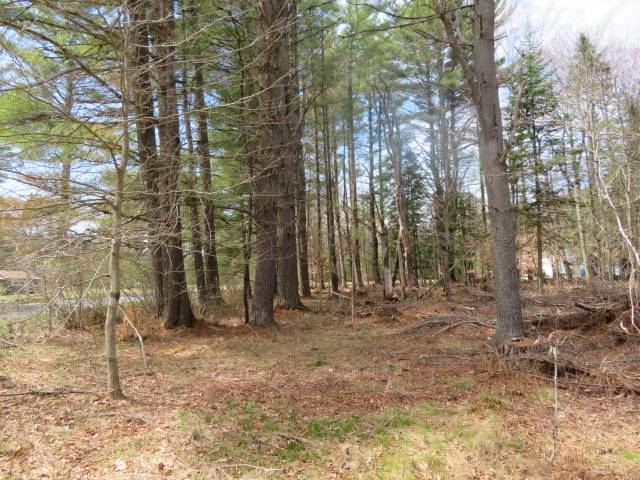 #29 photo, 8083 Moose River Rd, Port Leyden , NY 13433