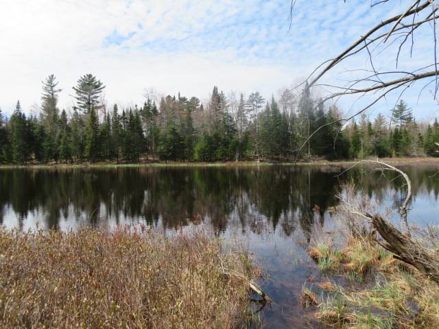 #3 photo, 8083 Moose River Rd, Port Leyden , NY 13433