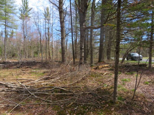 #30 photo, 8083 Moose River Rd, Port Leyden , NY 13433