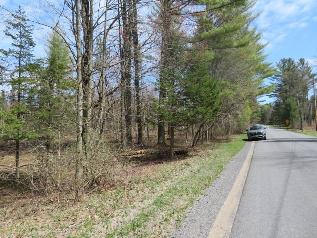 #31 photo, 8083 Moose River Rd, Port Leyden , NY 13433