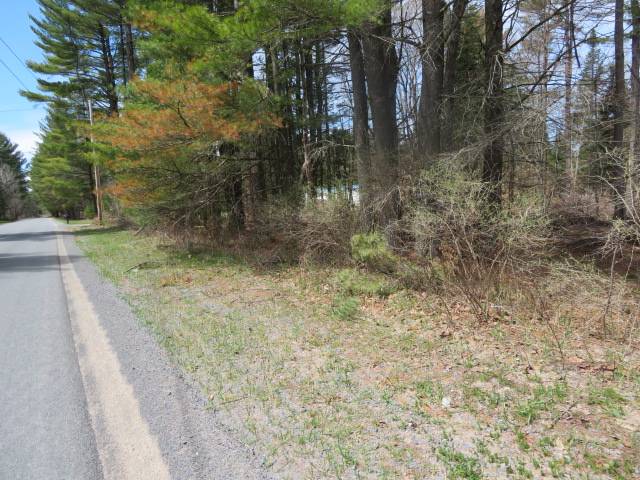 #32 photo, 8083 Moose River Rd, Port Leyden , NY 13433
