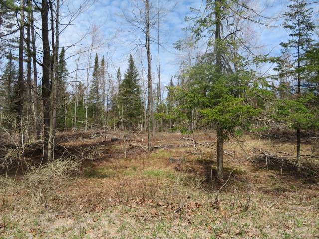 #33 photo, 8083 Moose River Rd, Port Leyden , NY 13433