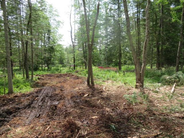 #35 photo, 8083 Moose River Rd, Port Leyden , NY 13433