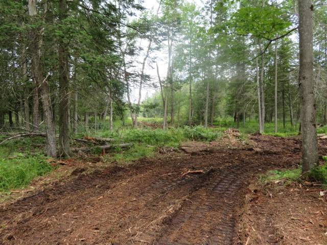 #37 photo, 8083 Moose River Rd, Port Leyden , NY 13433