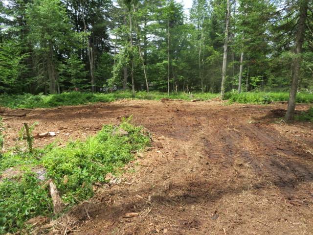 #38 photo, 8083 Moose River Rd, Port Leyden , NY 13433