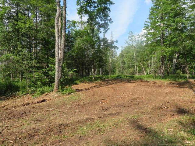 #39 photo, 8083 Moose River Rd, Port Leyden , NY 13433