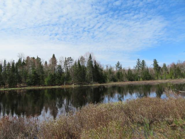 #4 photo, 8083 Moose River Rd, Port Leyden , NY 13433