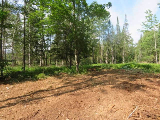 #40 photo, 8083 Moose River Rd, Port Leyden , NY 13433