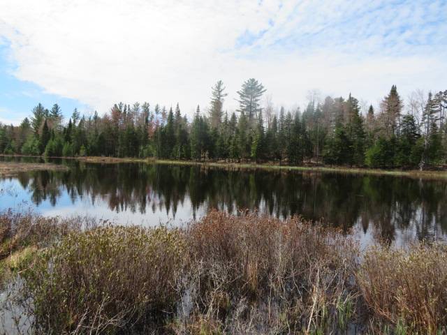 #5 photo, 8083 Moose River Rd, Port Leyden , NY 13433