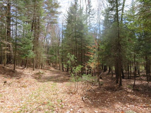 #6 photo, 8083 Moose River Rd, Port Leyden , NY 13433