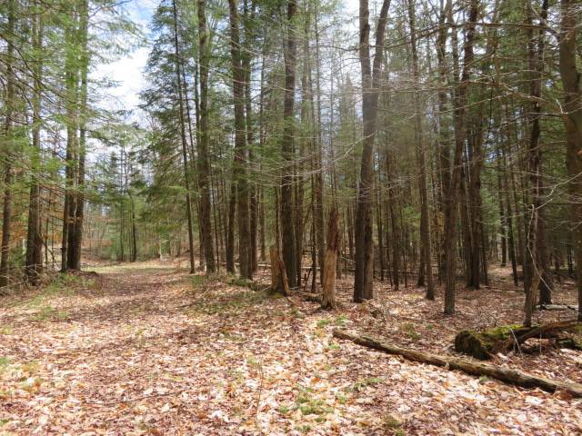 #7 photo, 8083 Moose River Rd, Port Leyden , NY 13433