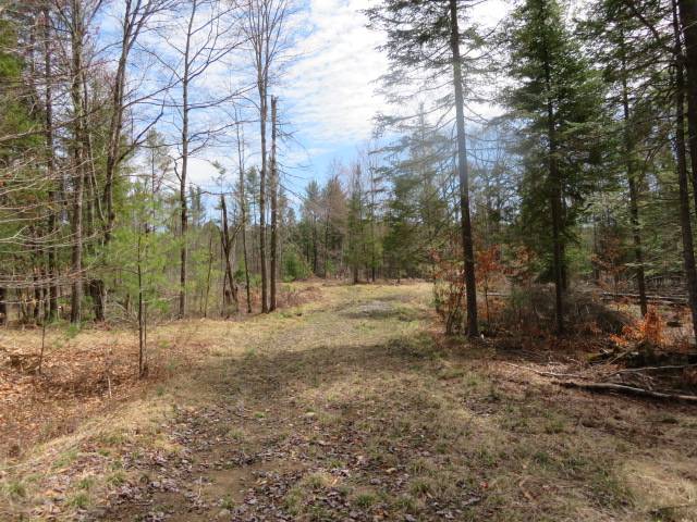 #8 photo, 8083 Moose River Rd, Port Leyden , NY 13433