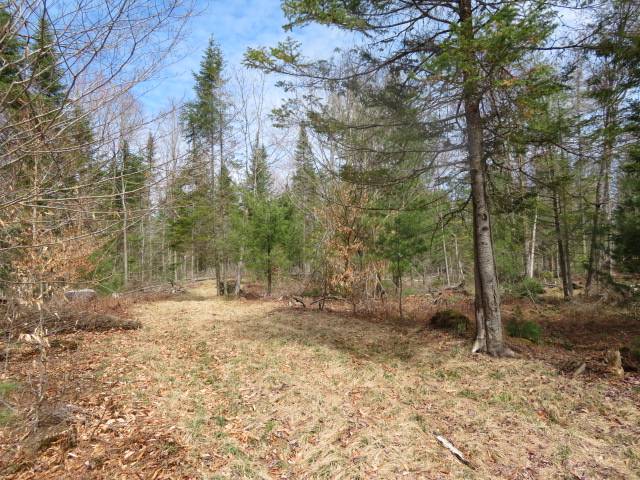 #9 photo, 8083 Moose River Rd, Port Leyden , NY 13433