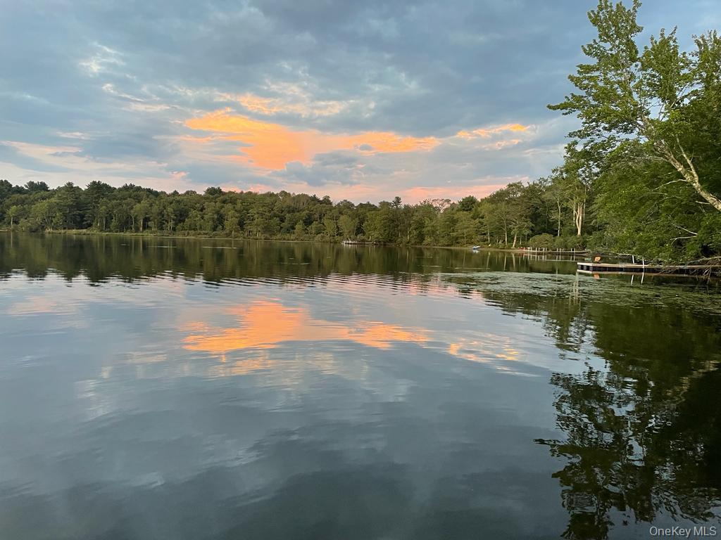 #4 photo, 49 Oxford Drive, Bethel , NY 12786