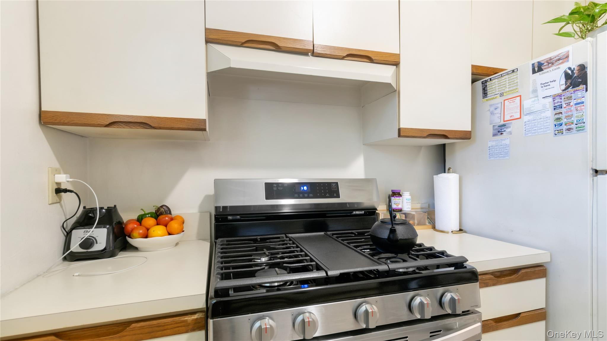 #14 photo, 16 Fair Harbor Drive, Patchogue , NY 11772