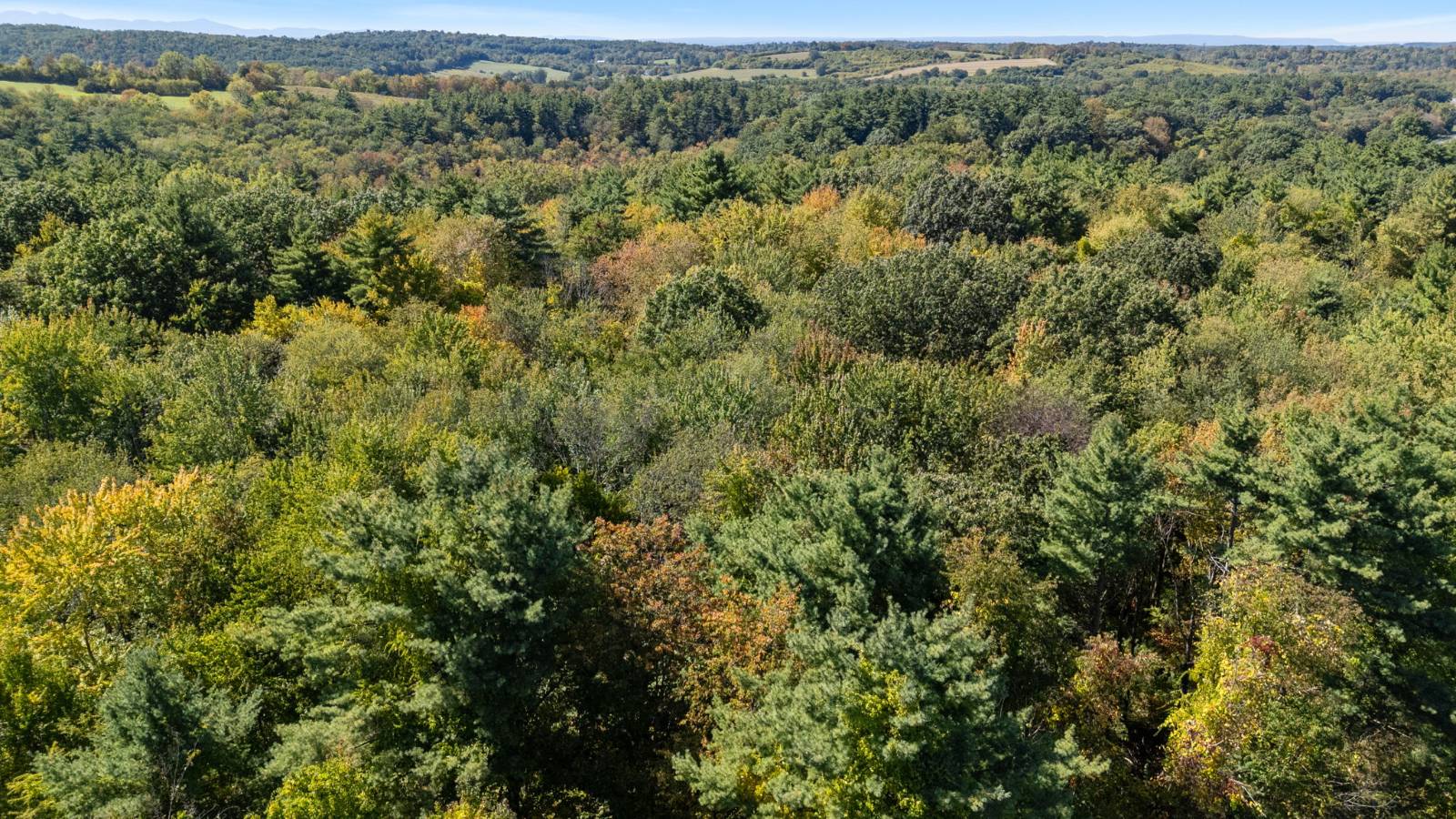 #10 photo, 0 Albany Tpke, Old Chatham , NY 12136